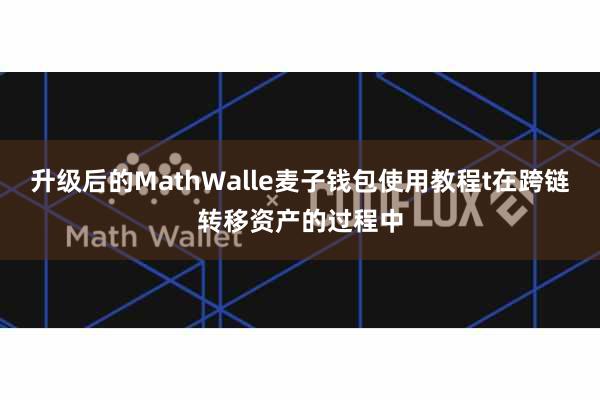 升级后的MathWalle麦子钱包使用教程t在跨链转移资产的过程中