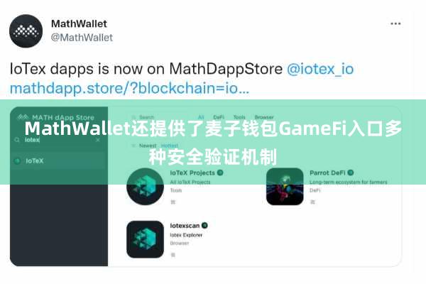 MathWallet还提供了麦子钱包GameFi入口多种安全验证机制