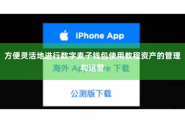 方便灵活地进行数字麦子钱包使用教程资产的管理和运营