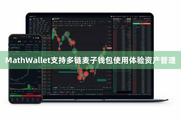 MathWallet支持多链麦子钱包使用体验资产管理
